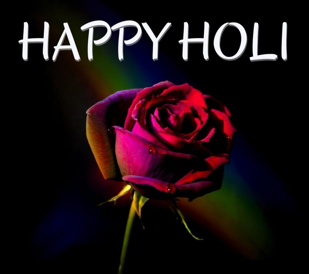 happy holi 2022 hd images with gulab download
