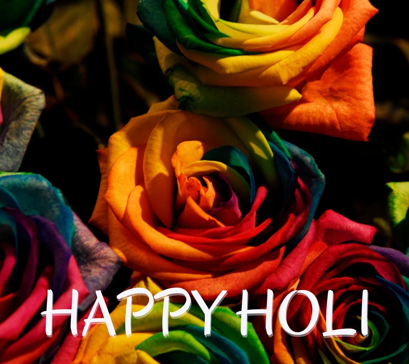 happy holi hd images with gulab download