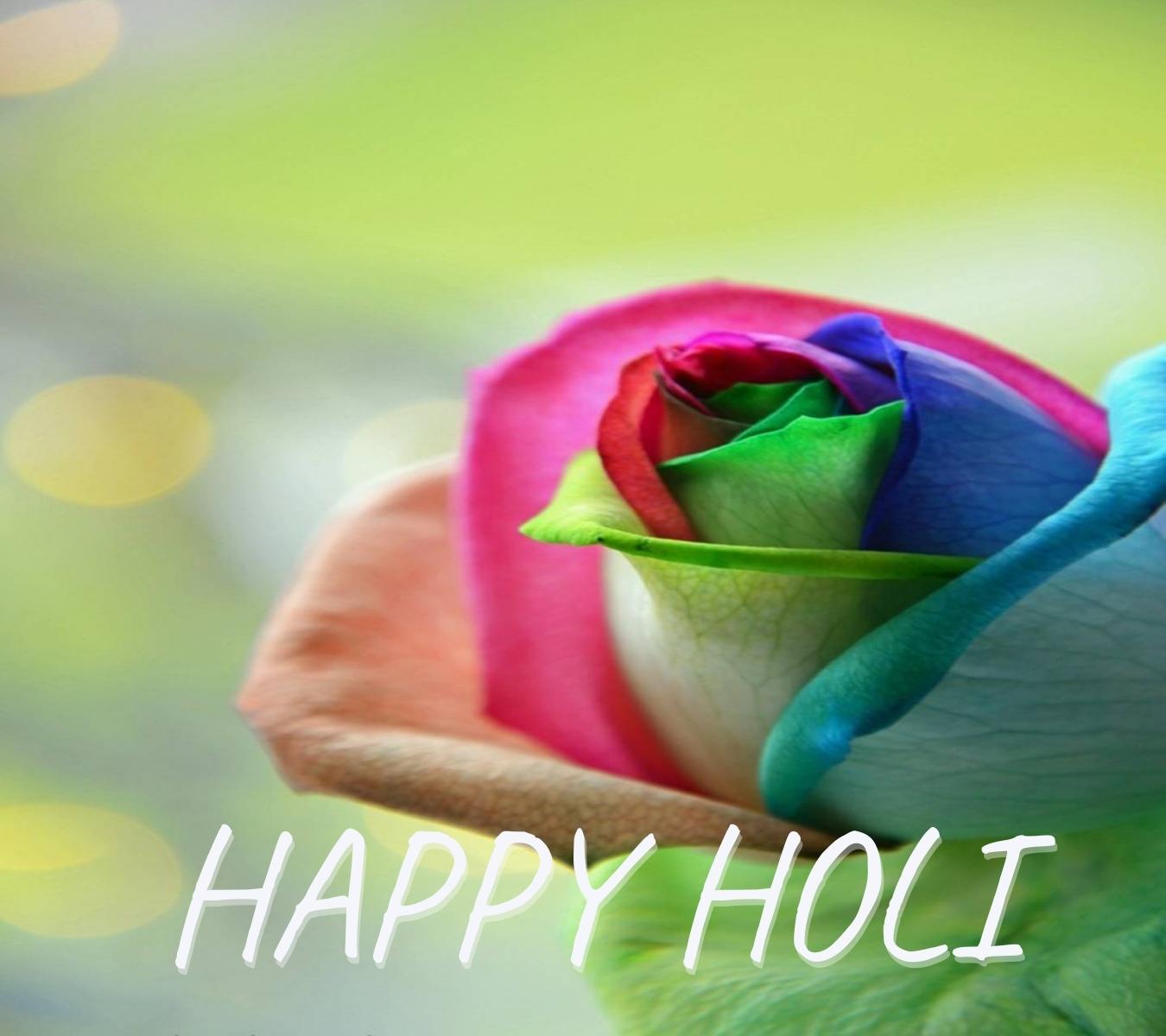 happy holi hd pics with rose download