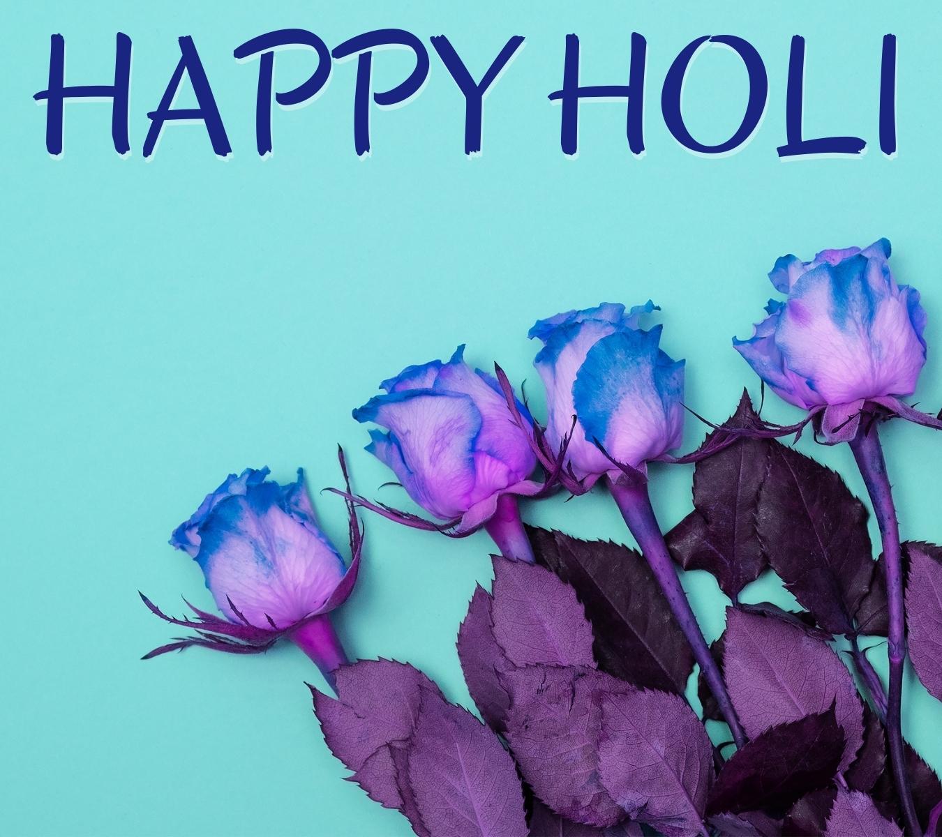happy holi hd photos with rose download
