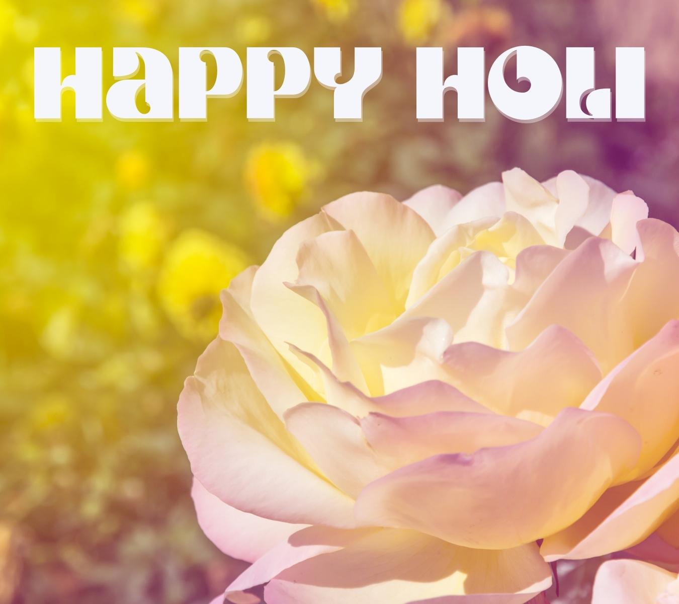 happy holi hd Wallpapers with rose download for facebook