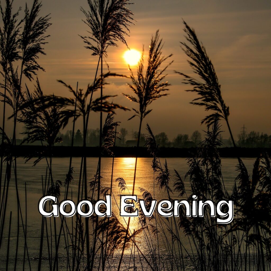 Good Evening Picture Download